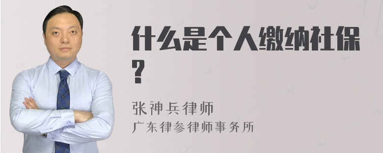 什么是个人缴纳社保?