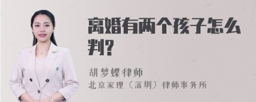 离婚有两个孩子怎么判?