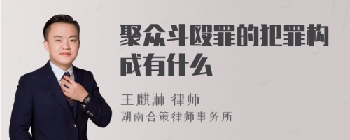 聚众斗殴罪的犯罪构成有什么