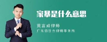 家暴是什么意思