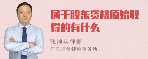 属于股东资格原始取得的有什么