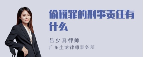 偷税罪的刑事责任有什么