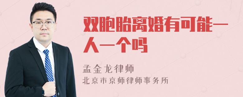 双胞胎离婚有可能一人一个吗