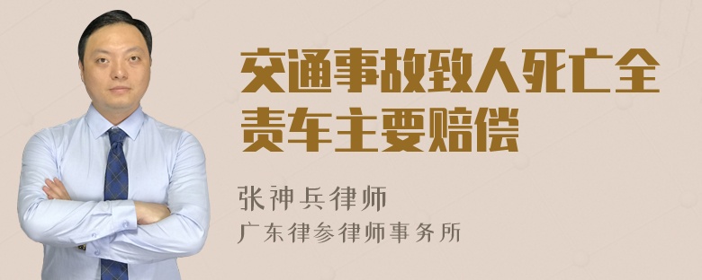 交通事故致人死亡全责车主要赔偿