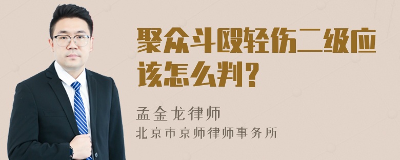 聚众斗殴轻伤二级应该怎么判？