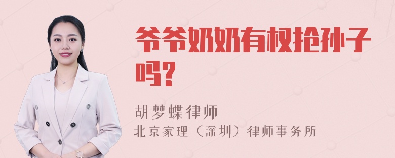 爷爷奶奶有权抢孙子吗?