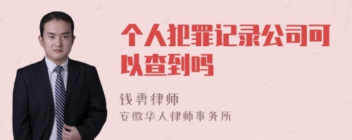 个人犯罪记录公司可以查到吗