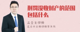 刑罚没收财产的范围包括什么