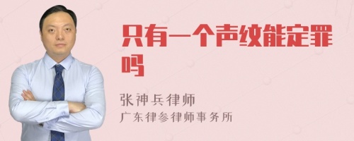 只有一个声纹能定罪吗