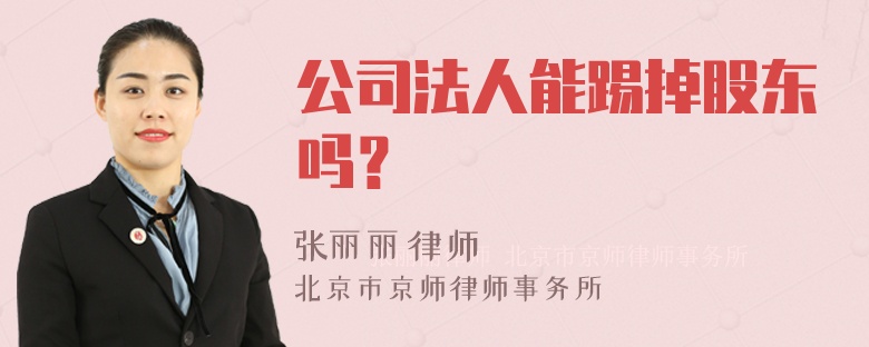 公司法人能踢掉股东吗？