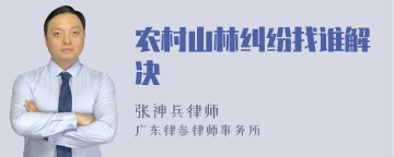 农村山林纠纷找谁解决