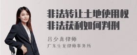 非法转让土地使用权非法获利如何判刑