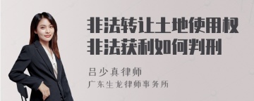 非法转让土地使用权非法获利如何判刑