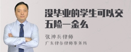 没毕业的学生可以交五险一金么