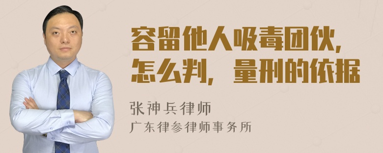 容留他人吸毒团伙，怎么判，量刑的依据