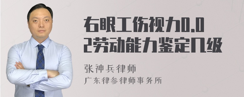 右眼工伤视力0.02劳动能力鉴定几级