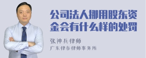 公司法人挪用股东资金会有什么样的处罚