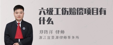 六级工伤赔偿项目有什么