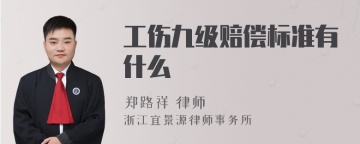 工伤九级赔偿标准有什么