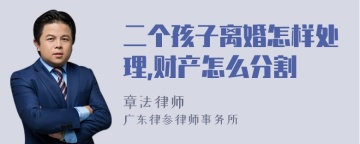 二个孩子离婚怎样处理,财产怎么分割