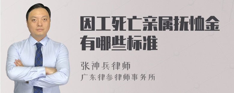 因工死亡亲属抚恤金有哪些标准