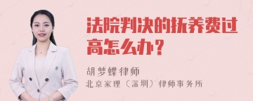 法院判决的抚养费过高怎么办？