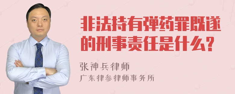 非法持有弹药罪既遂的刑事责任是什么?