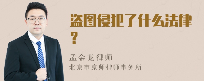 盗图侵犯了什么法律？