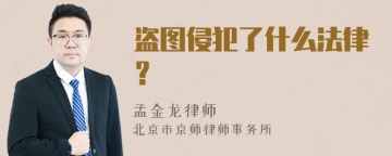 盗图侵犯了什么法律？