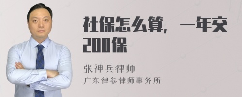 社保怎么算，一年交200保