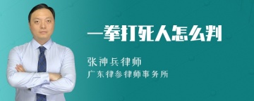 一拳打死人怎么判