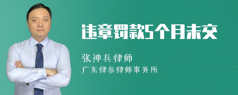 违章罚款5个月未交