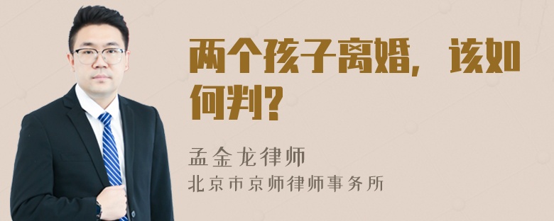 两个孩子离婚，该如何判?