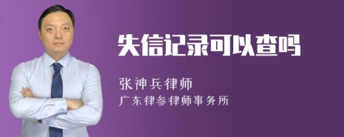 失信记录可以查吗