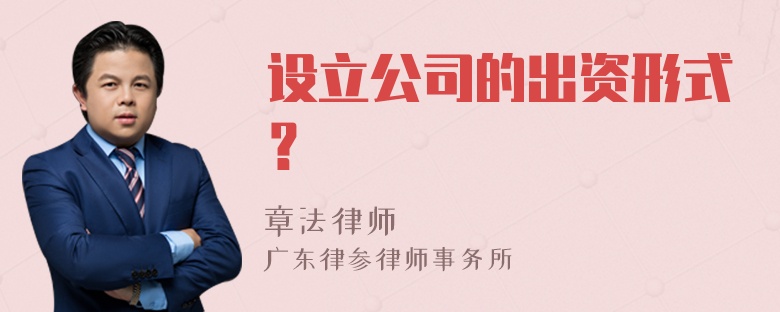 设立公司的出资形式？