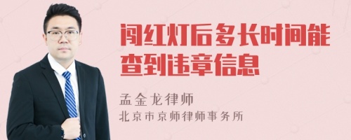 闯红灯后多长时间能查到违章信息