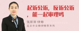 起诉公诉，反诉公诉，能一起审理吗