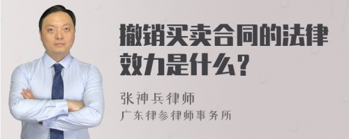 撤销买卖合同的法律效力是什么？