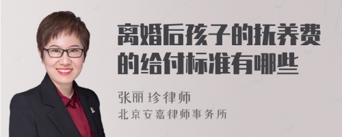 离婚后孩子的抚养费的给付标准有哪些