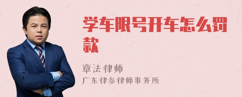 学车限号开车怎么罚款