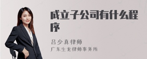 成立子公司有什么程序