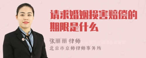 请求婚姻损害赔偿的期限是什么