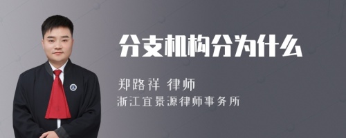 分支机构分为什么