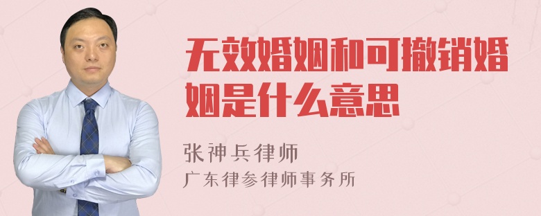 无效婚姻和可撤销婚姻是什么意思