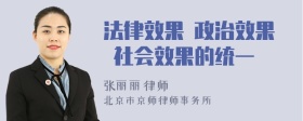 法律效果 政治效果 社会效果的统一