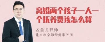 离婚两个孩子一人一个抚养费该怎么算