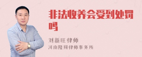 非法收养会受到处罚吗