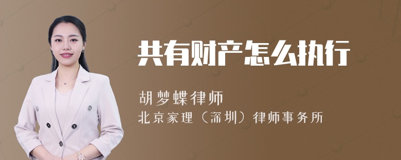 共有财产怎么执行