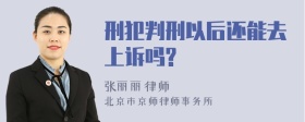 刑犯判刑以后还能去上诉吗?