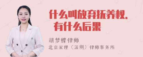 什么叫放弃抚养权. 有什么后果